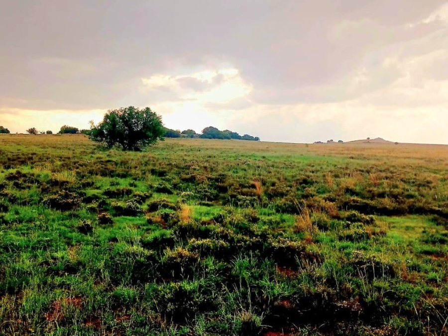 3 Bedroom Property for Sale in Bloemfontein Rural Free State